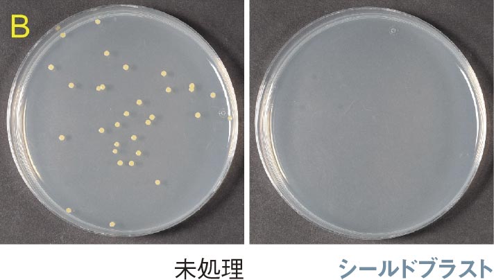 SUS304の黄色ブドウ球菌培養試験